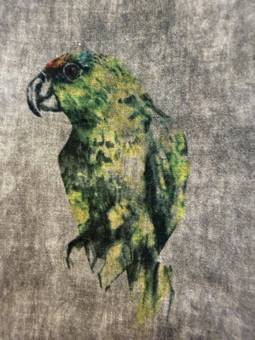 LARDINI ITALIAN RARE Men’s 46 or women’s M/L parrot bird button down.NWOT